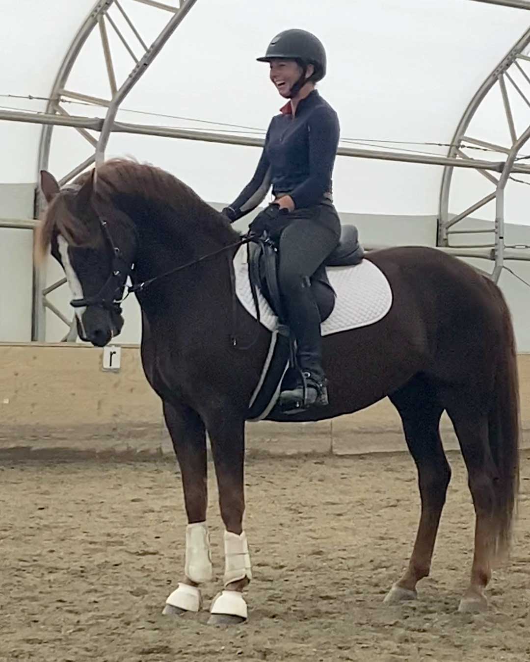 VMHA Member Spotlight Joanne Doucette VT MORGAN HORSE ASSOCIATION VMHA Member Spotlight Joanne Doucette VT MORGAN HORSE ASSOCIATION